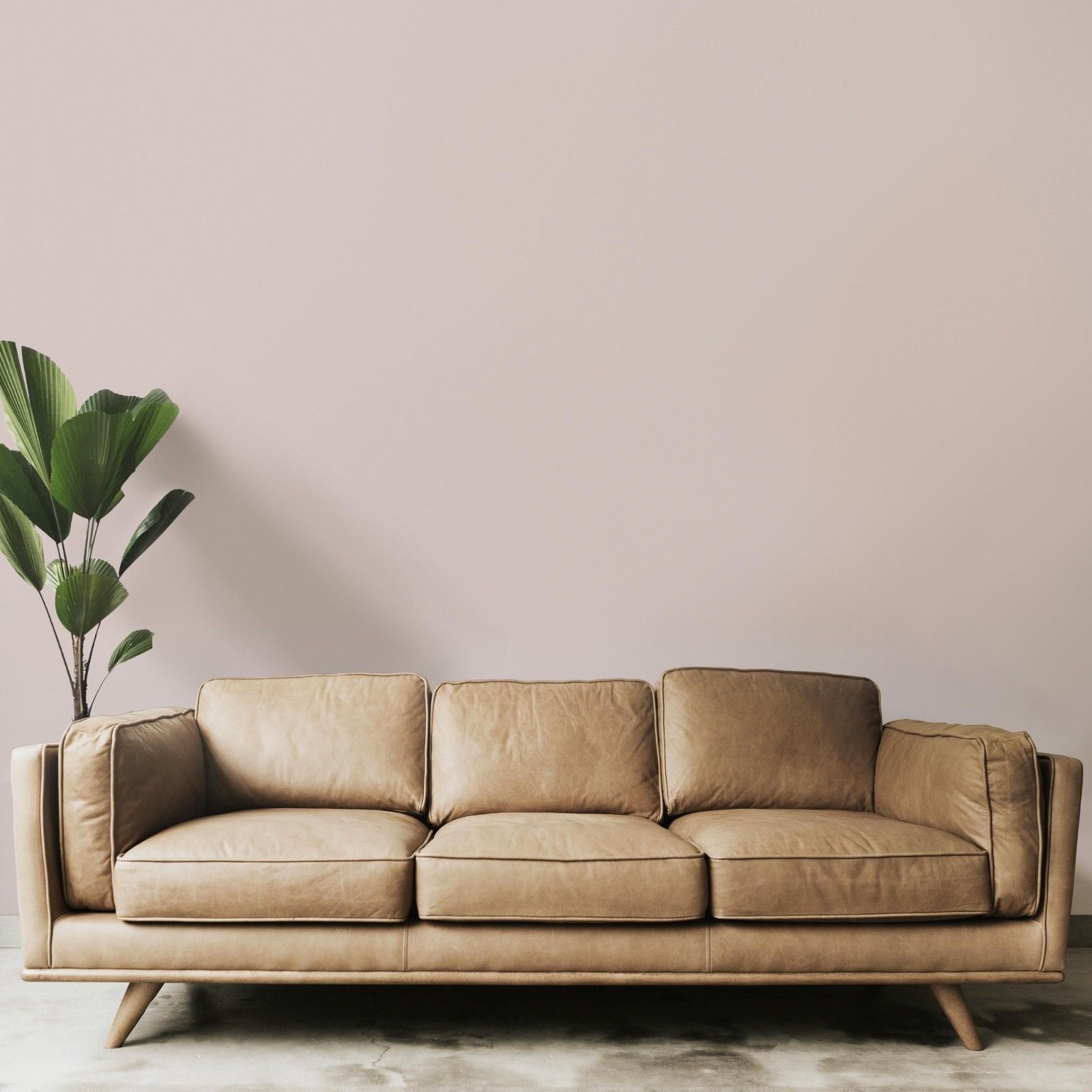 Nachhaltige greige Wandfarbe Fashion Week von Mynt mit einem braunen Sofa und einer grünen Pflanze.